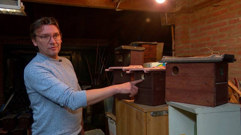 Frank maakt honderden nestkasten voor vogels