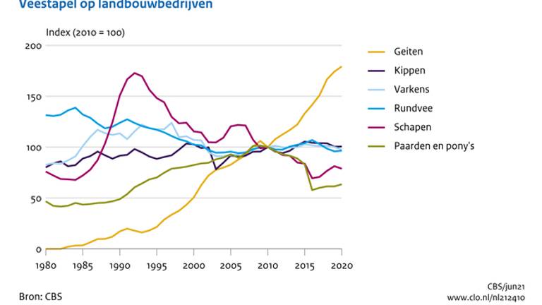 De hoeveelheid landbouwdieren in Nederland (bron: CBS)