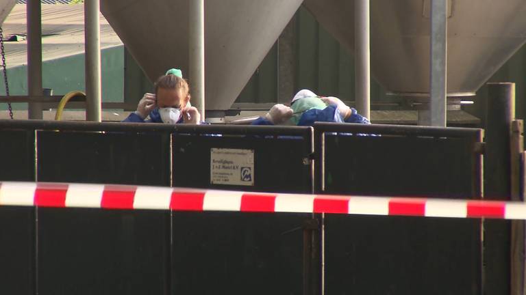 De fokkerijen worden geruimd door de NVWA, samen met de nertsenhouders (foto: archief).