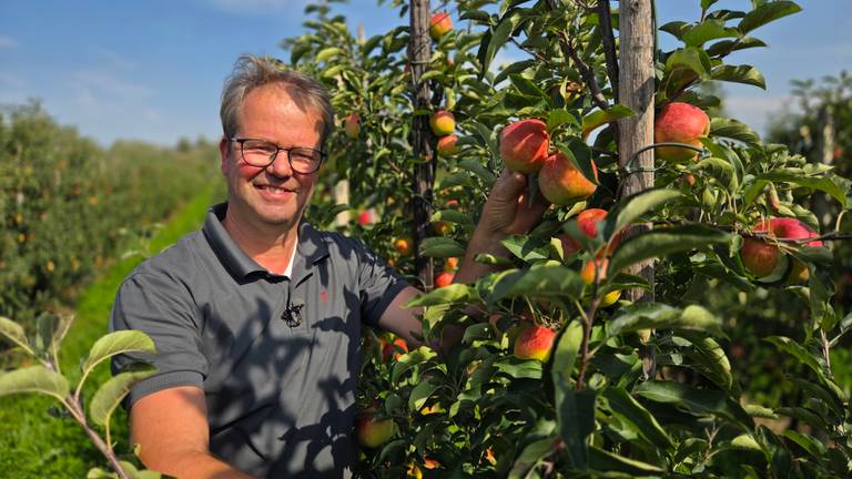 Fruitteler Rik Jurrius (foto: Noël van Hooft).