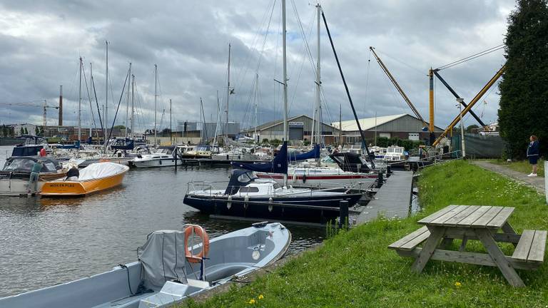 Havenmeester Inge van Ekelen kijkt uit over de Bergse jachthaven