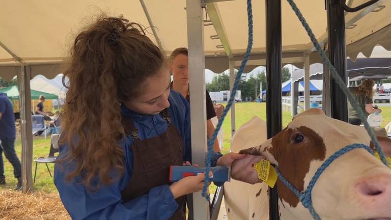 Jade Zonnenberg in actie (foto: Omroep Brabant).