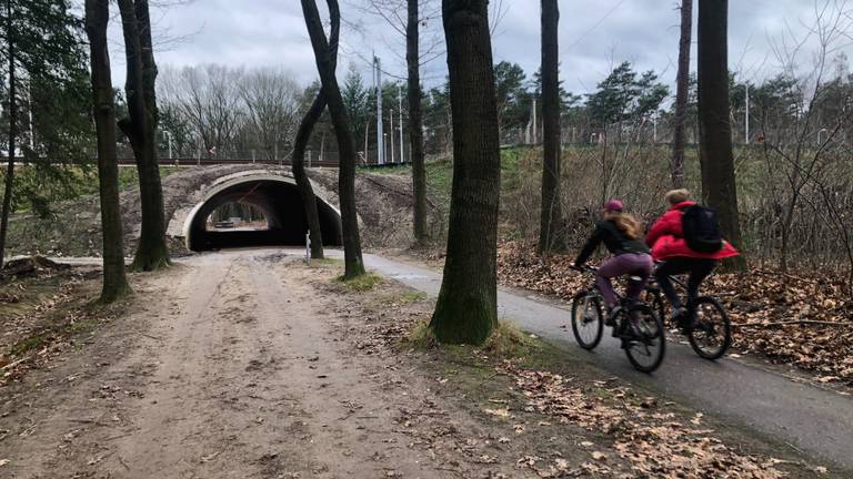 De fietstunnel in Veldhoven.