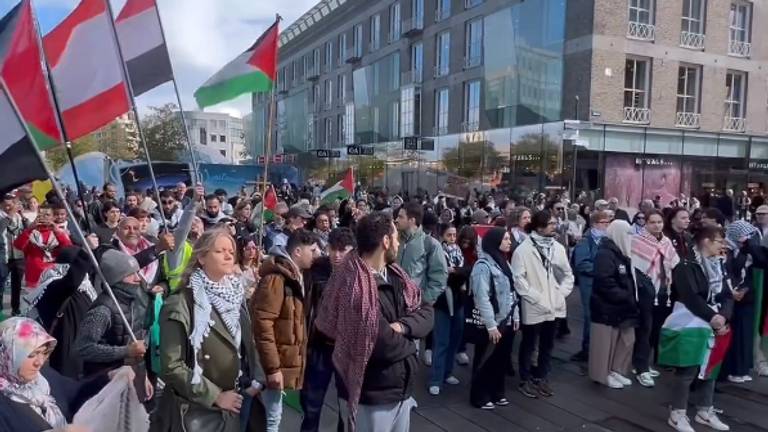 Een eerdere demonstratie van Eindhoven4Palestine.