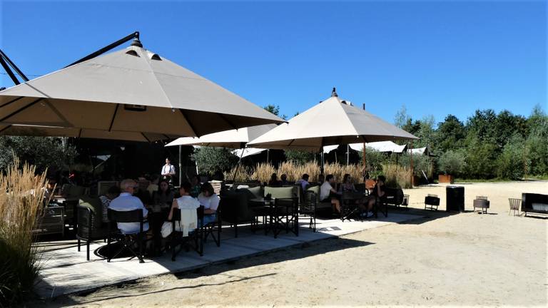 Goed toeven in de zon aan het Houtse meer bij Oosterhout (foto: Martha Kivits).