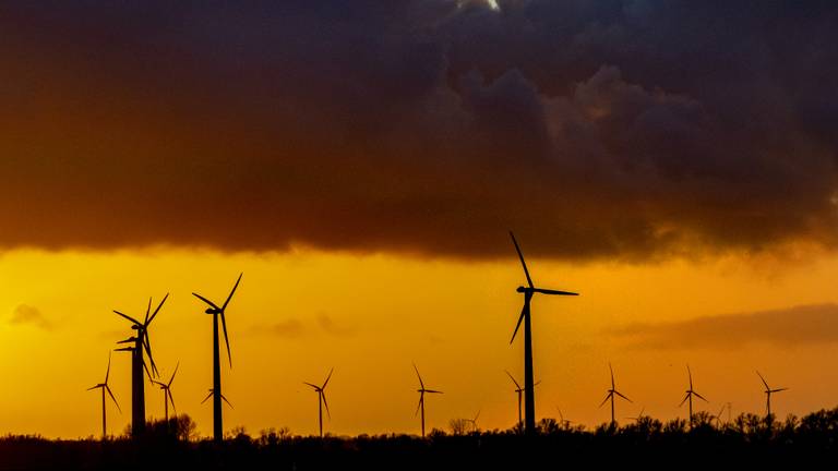 Windmolens in Bergen op Zoom (Foto: ANP).