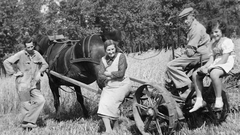 Gevoel van vrijheid op de boerderij in Udenhout (foto: Sylvia Festa). 