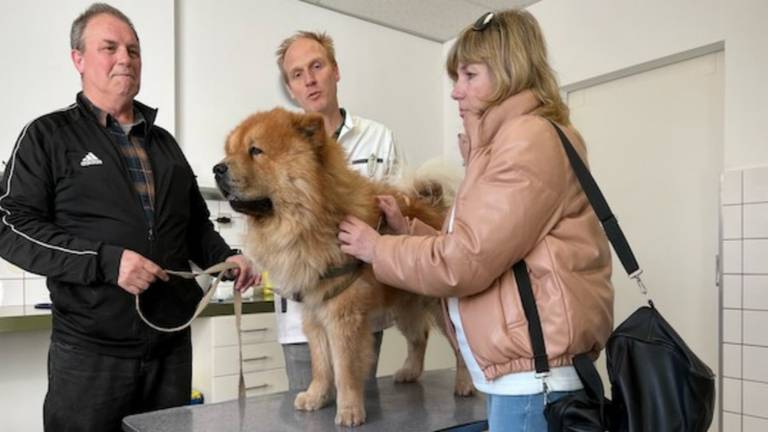 Jos en Oksana bij de dierenarts met hond Potap.