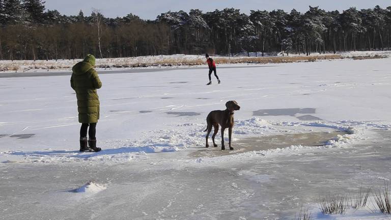 Hond en baas durven het ook aan het ijs op te gaan. (foto:Omroep Brabant).