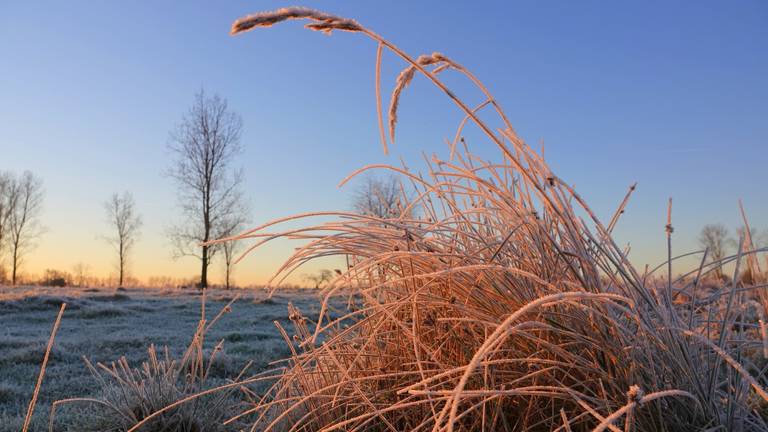 Winterweer (foto: Ben Saanen).