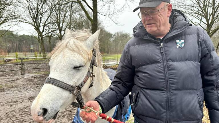 Pony Hummer stapt rakelings over spijkerplanken op hei: 'Wie doet zoiets?'