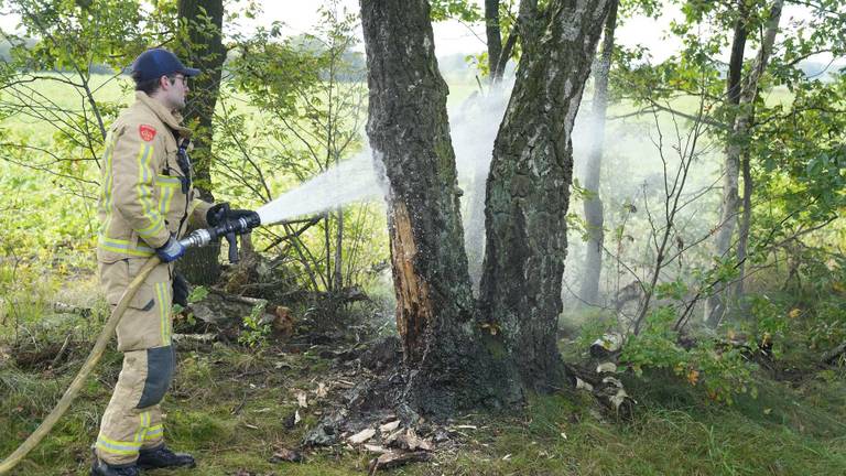 De brandweer bluste de boom naast de Sint-Barbaraweg in Budel-Dorplein (foto: WdG/SQ Vision).