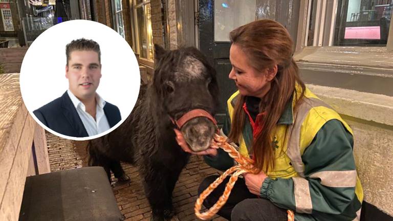 Sjors Pardoel ging aan de wandel met een pony. 