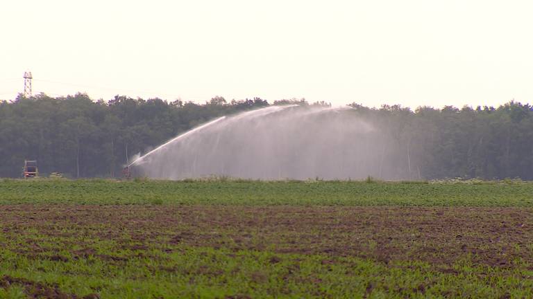 Veel boeren gebruiken hun beregeningsput (beeld: Omroep Brabant)