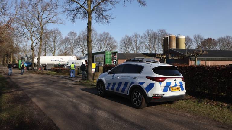 Vogelgriep in Sint-Oedenrode (foto: Sander van Gils / SQ Vision Mediaprodukties).