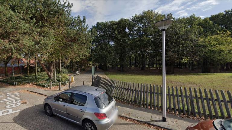 De jongeren hangen onder meer rond bij het dierenparkje aan de Peelhof (foto: Google Streetview).