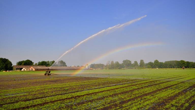 Het besproeien van velden (foto: Ben Saanen)