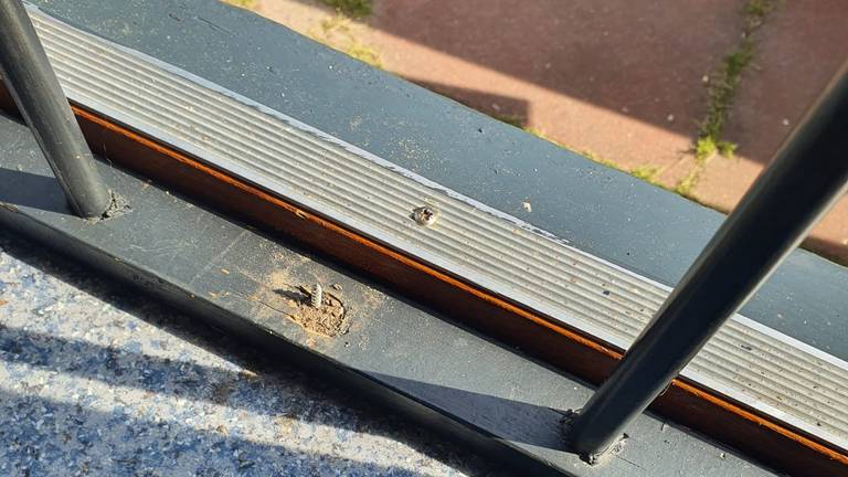 Een schroef steek uit de vloer (foto: Sabina en Peter Grob)