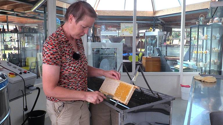 Thea en Robert doen alles voor gezonde bijen;'wij kunnen veel van ze leren'