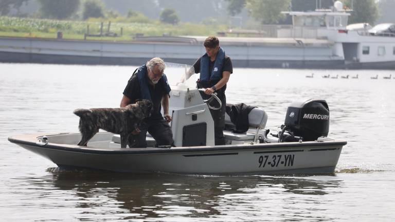 Er wordt met speurhonden en een bootje naar de vermiste man in de Maas bij Oeffelt gezocht (foto: Marco van den Broek/SQ Vision).
