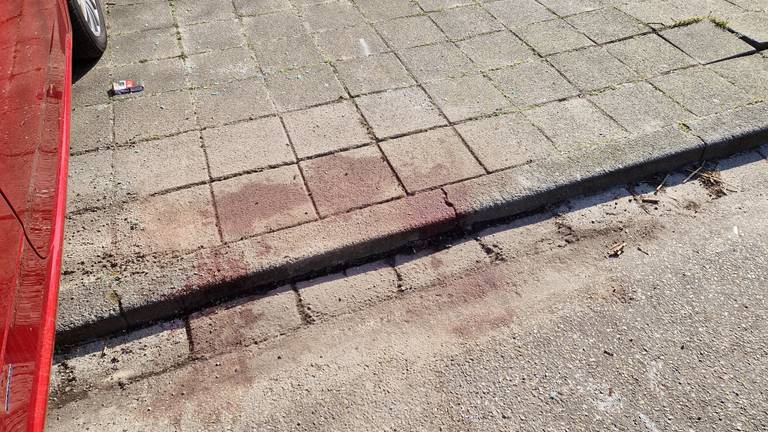 Bloedsporen op de plek waar de 29-jarige vrouw is gevonden (foto: Noël van Hooft)