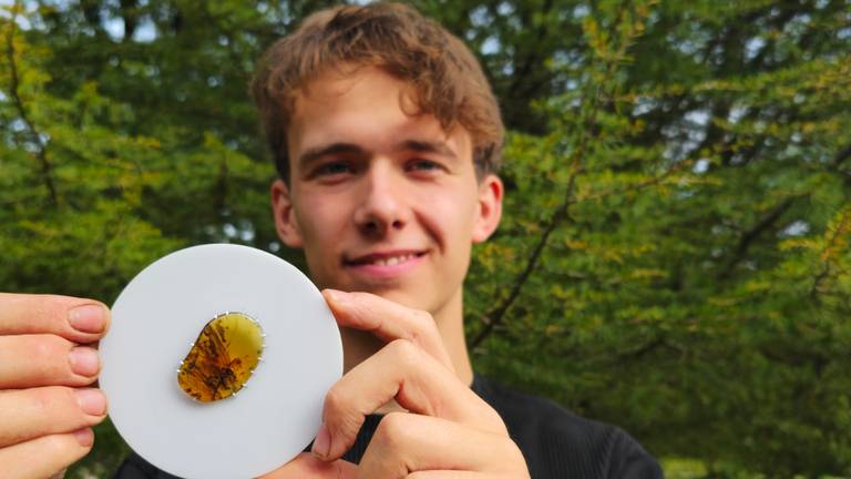 Maarten laat de barnsteen zien (foto: Maarten de Rijke).