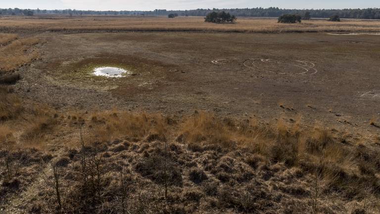 De Brabantse natuur heeft dorst: de Landschotse Heide met een bijna volledig verdwenen Witven (foto: Wim Hoogveld)