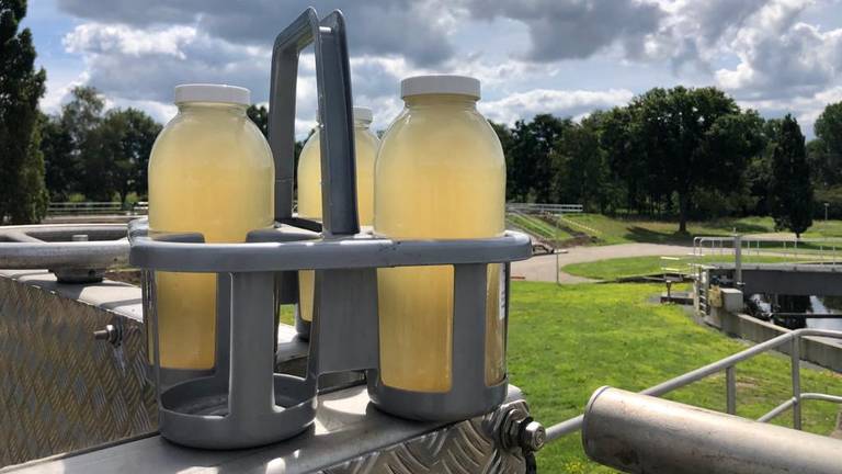 De flessen rioolwater gaan voor onderzoek naar het RIVM. (Foto: Erik Peeters)