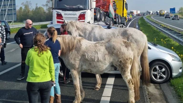 Foto: Politie Maashorst/Instagram.