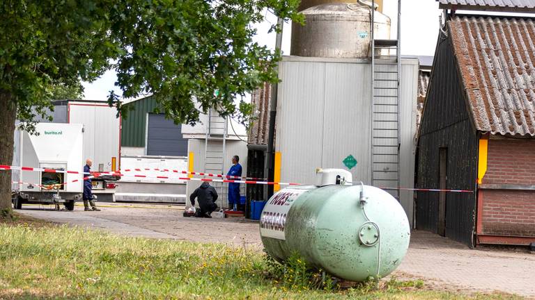 Ruiming van een nertsenfarm in Landhorst (foto: SK-Media)