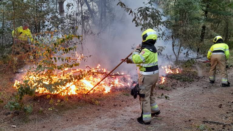 Vuurkorf gevonden op plek waar bosbrand woedde: ‘Frappant’