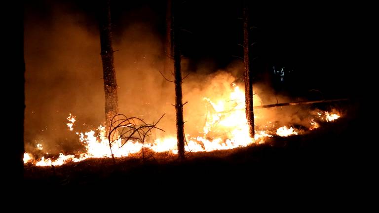 Brandende waxinelichtjes gevonden bij natuurbrand in Best