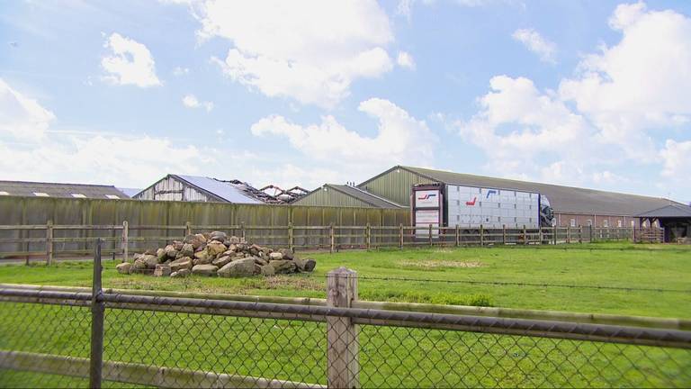 De afgebrande stal op maandag (Foto: Omroep Brabant).