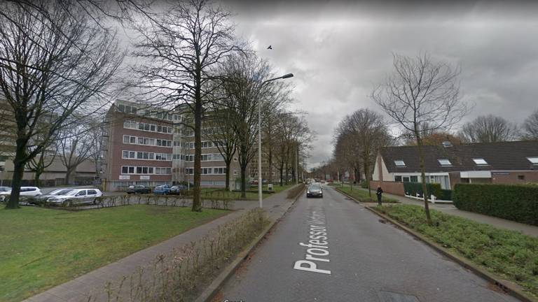 Een deel van de Professor Verbernelaan in Tilburg (foto: Google Streetview).