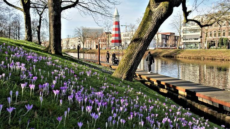 Lente in Breda (foto Henk Voermans).