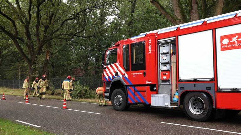 De brandweer kon de klus in Oirschot snel klaren (foto: Sander van Gils/SQ Vision).