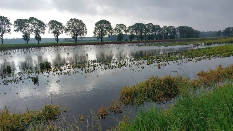 Regen zet akkers blank, boeren balen en waterschappen werken zich suf