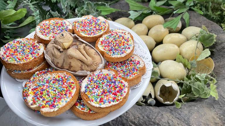 Beschuit met muisjes voor de 'dinobaby'. 