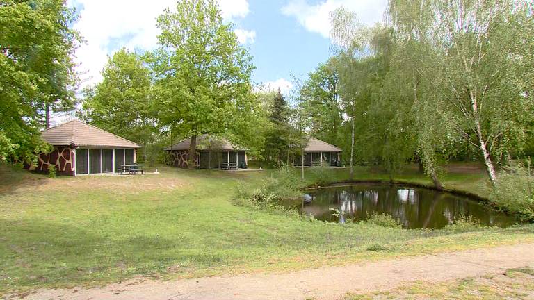 Een vakantiehuis in safaripark de Beekse Bergen (foto: Omroep Brabant).