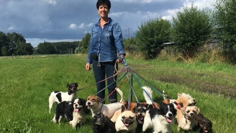 Jeannette met (een aantal van) haar honden (privéfoto)