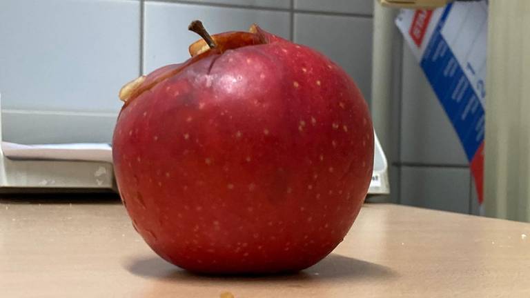 De appel uit het verhaal (foto: PI Vught).