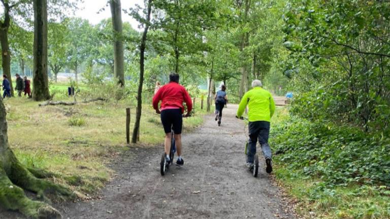Bootcamp in het bos vanwege de hitte (foto: DStraining).