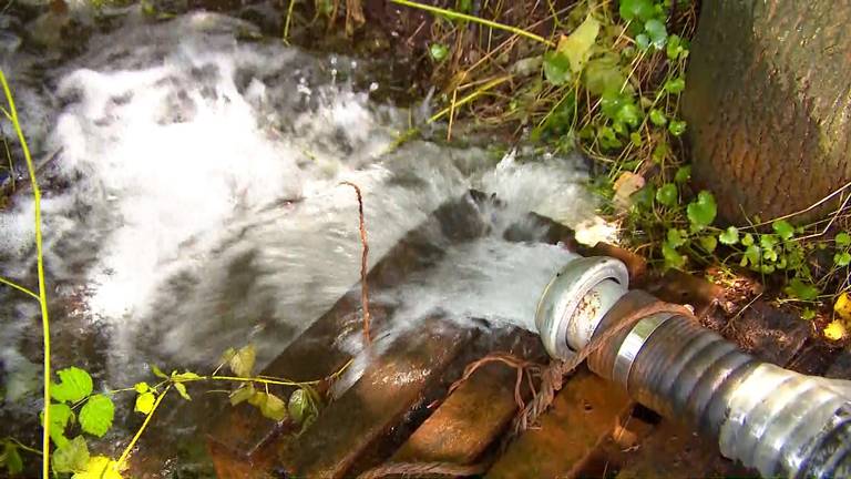 Water stroomt het de beek in (foto: Omroep Brabant).