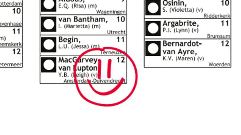 Een smiley mag (beeld: Kiesraad).