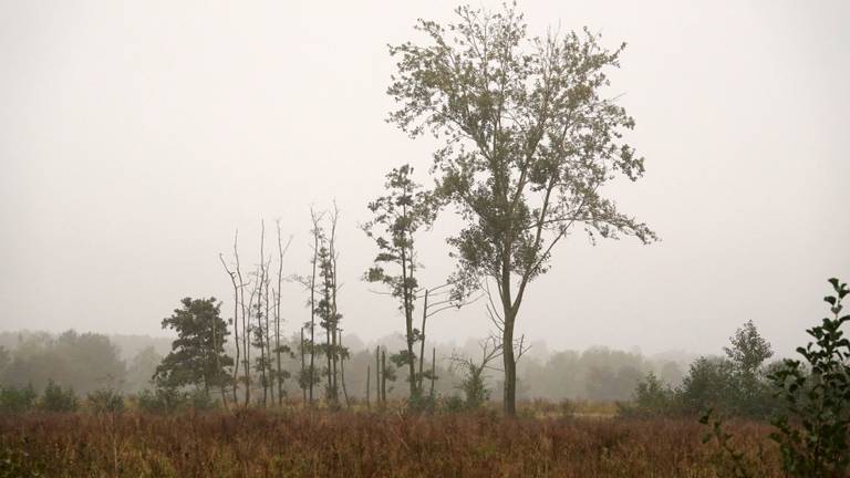 De mist is weer opgetrokken (foto: Ben Saanen).