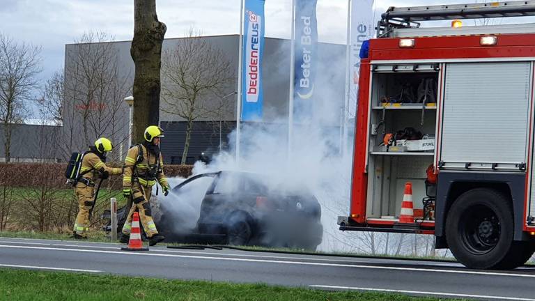 De automobilist botste tegen een boom (foto: Persbureau Smits).