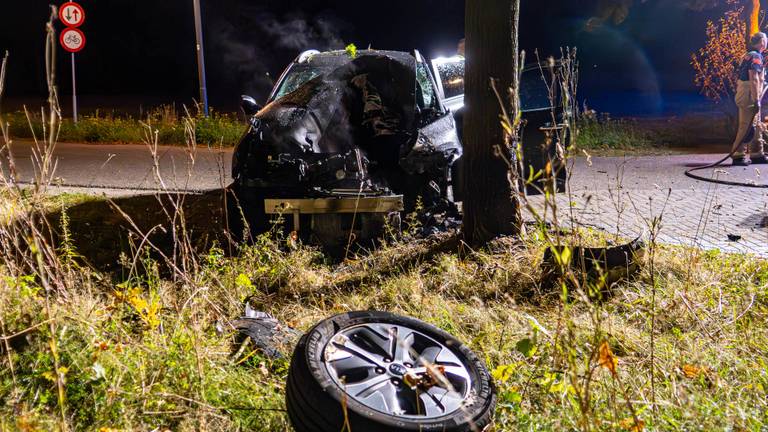 Foto: Harrie Grijseels / Persbureau Heitink.