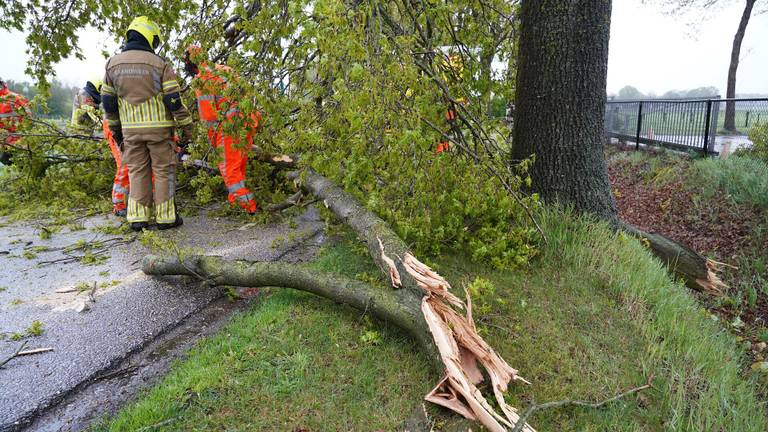 Boom explodeert door blikseminslag: meerdere takken belandden op de weg (foto: Jeroen Stuve/SQ Vision).