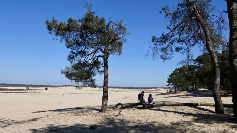 Volgens Vonk is Brabant geen geschikte vakantiebestemming.