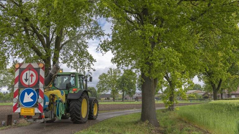 De bestrijding van de eikenprocessierups (foto: archief).